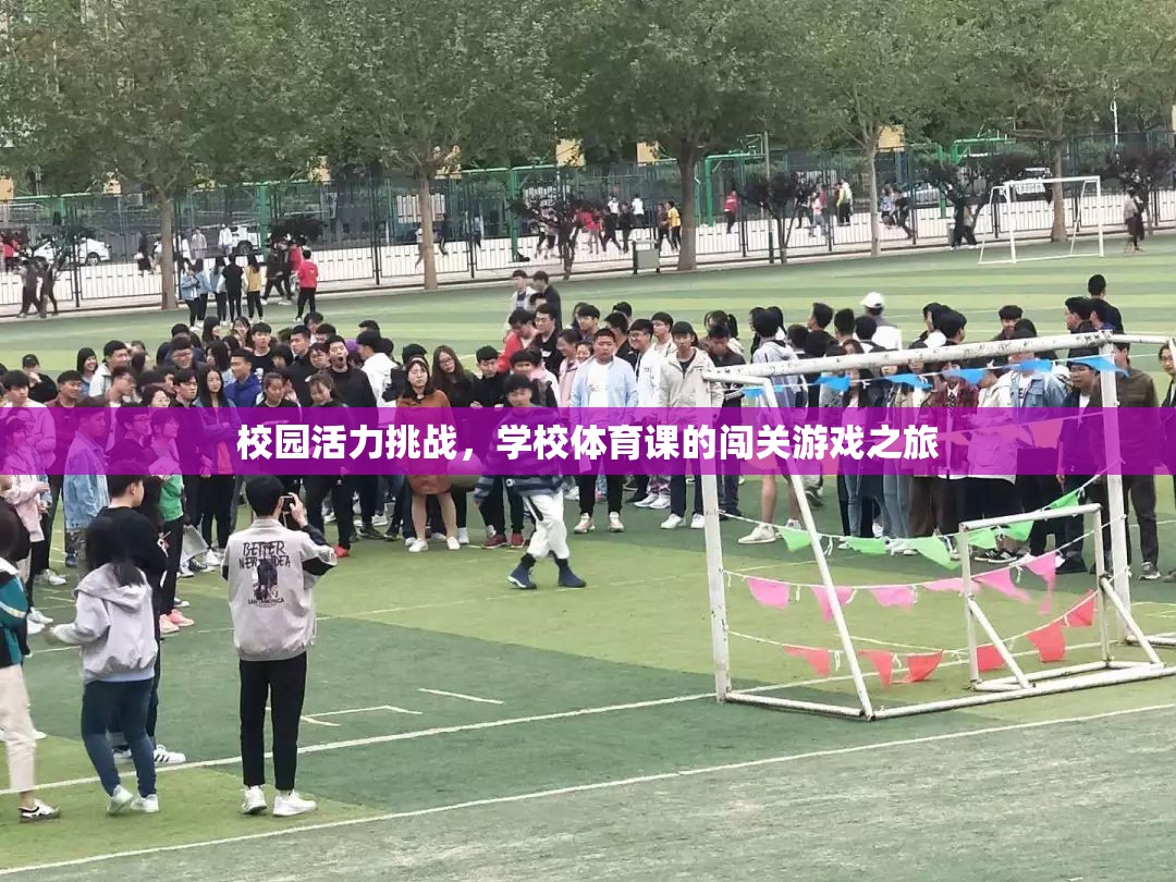 校園活力挑戰(zhàn)，學校體育課的闖關游戲之旅