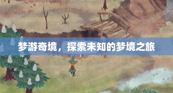 夢(mèng)游奇境，一場(chǎng)探索未知的夢(mèng)境之旅