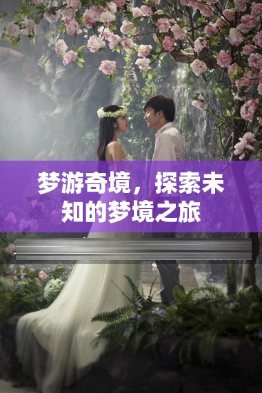 夢(mèng)游奇境，一場(chǎng)探索未知的夢(mèng)境之旅