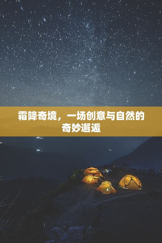 霜降奇境，創(chuàng)意與自然的夢幻交融
