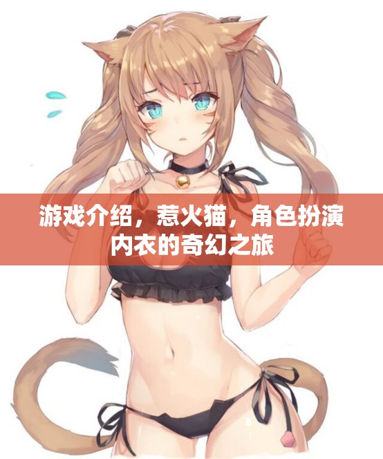 惹火貓，角色扮演內(nèi)衣的奇幻冒險(xiǎn)之旅