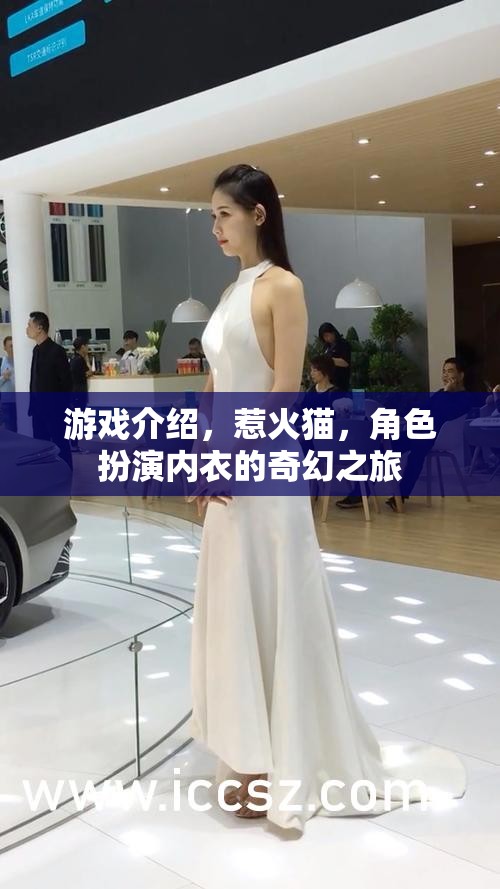 惹火貓，角色扮演內(nèi)衣的奇幻冒險(xiǎn)之旅