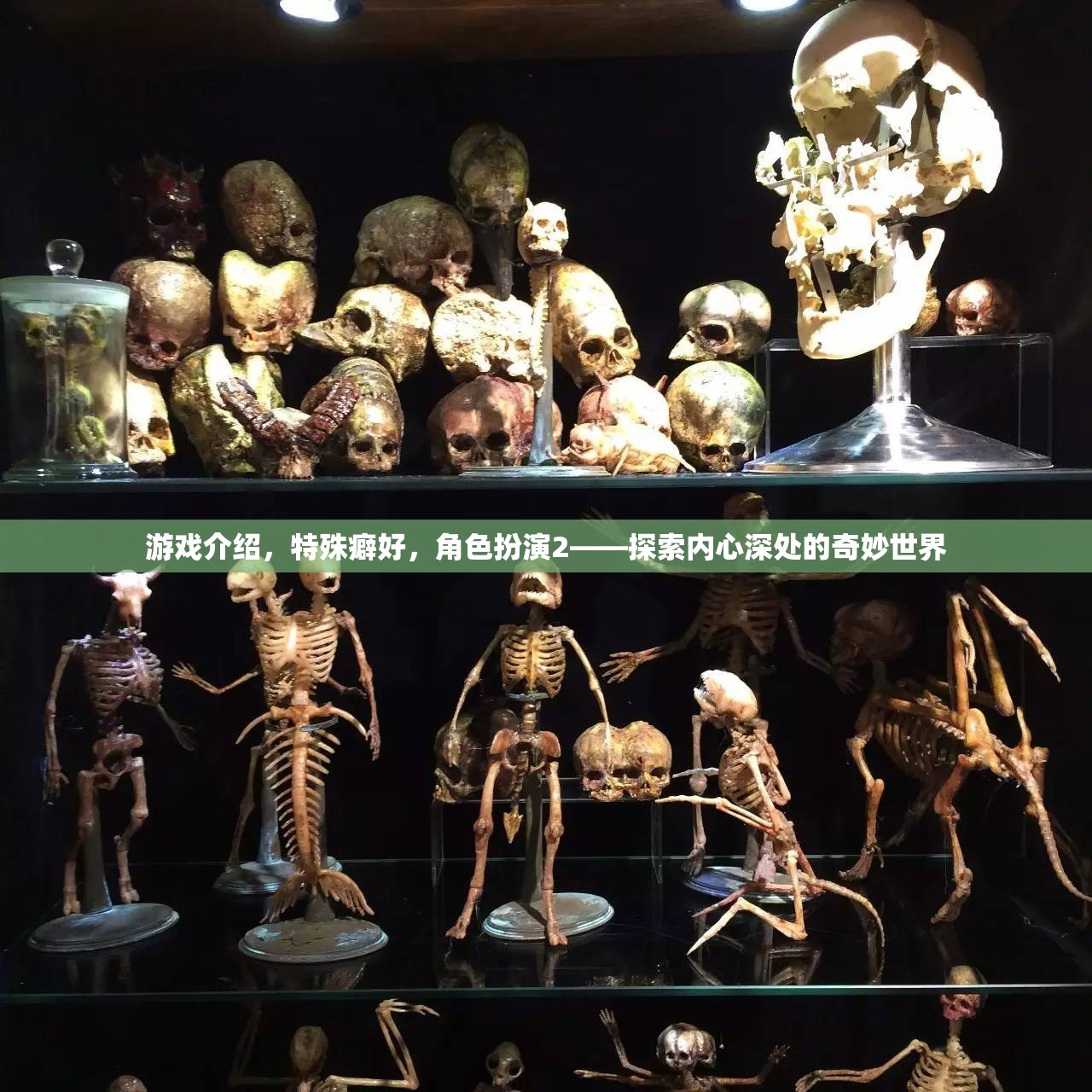 探索內(nèi)心深處的奇妙世界，角色扮演與特殊癖好的游戲之旅