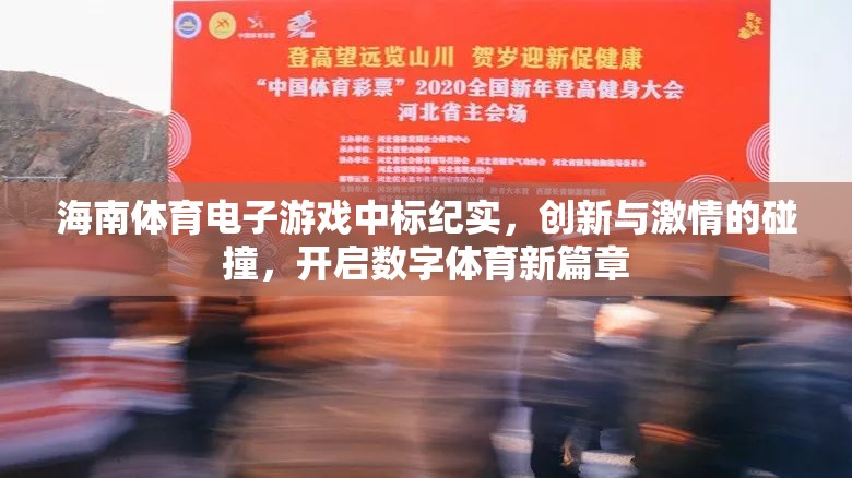 海南體育電子游戲中標(biāo)，創(chuàng)新與激情的碰撞，開啟數(shù)字體育新篇章