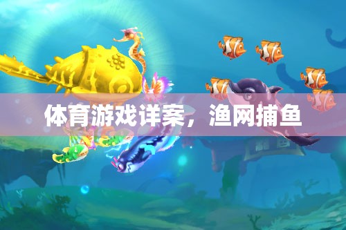 漁網(wǎng)捕魚，一款充滿樂趣與挑戰(zhàn)的體育游戲詳案