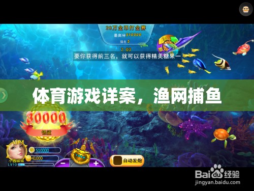 漁網(wǎng)捕魚，一款充滿樂趣與挑戰(zhàn)的體育游戲詳案