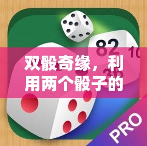 雙骰奇緣，利用骰子游戲優(yōu)化教學(xué)策略的實(shí)踐與探索