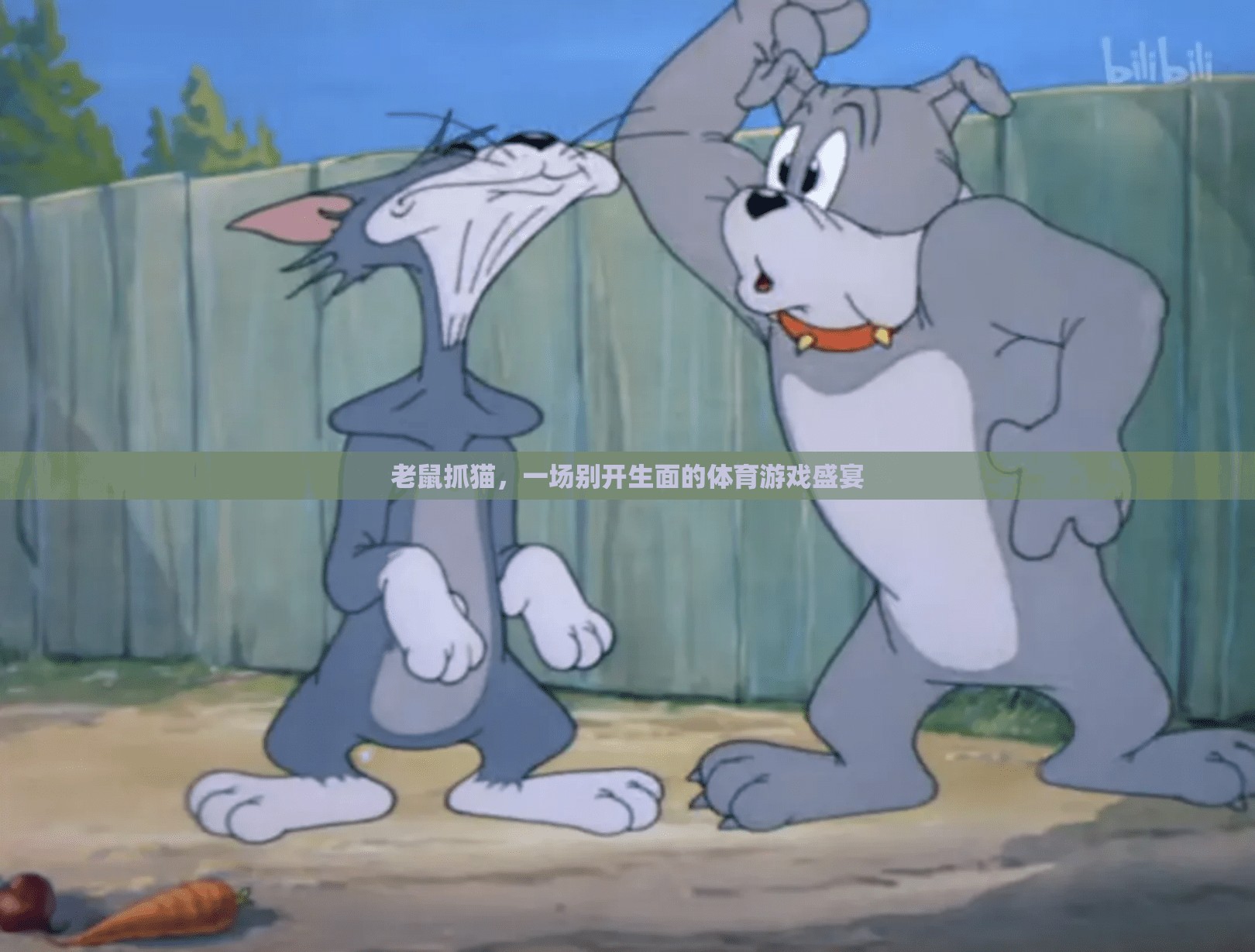 別開生面的體育游戲，老鼠抓貓的奇妙對決