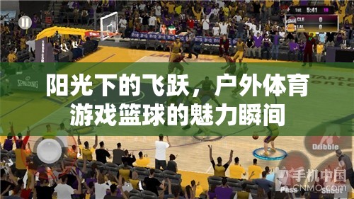 陽光下的飛躍，戶外籃球的魅力瞬間