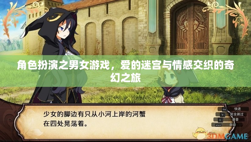 愛的迷宮，角色扮演中的情感交織奇幻之旅