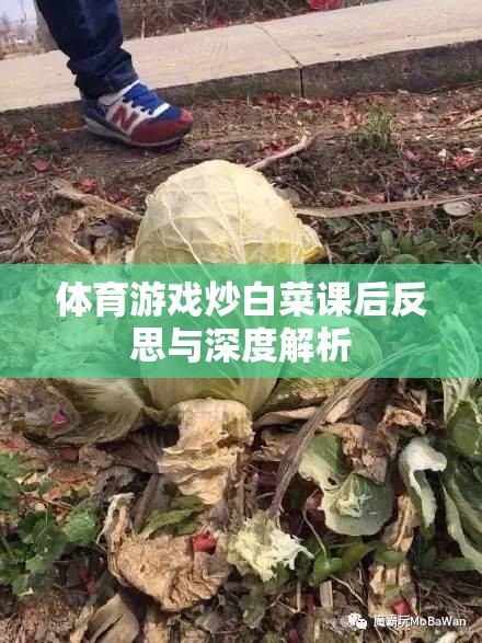 體育游戲‘炒白菜’的課后反思與深度解析，提升學生參與度與團隊協(xié)作的實踐探索