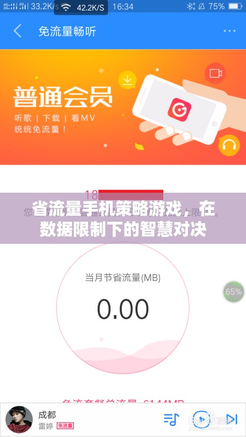 省流量手機策略游戲，在數(shù)據(jù)限制下的智慧對決