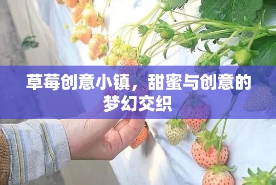 草莓創(chuàng)意小鎮(zhèn)，甜蜜與創(chuàng)意的夢幻碰撞