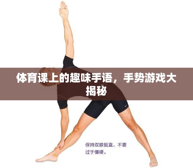 體育課上的手語盛宴，手勢游戲大揭秘