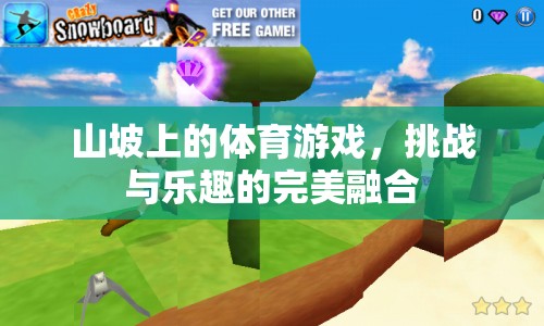 山坡上的挑戰(zhàn)與樂(lè)趣，完美融合的體育游戲體驗(yàn)