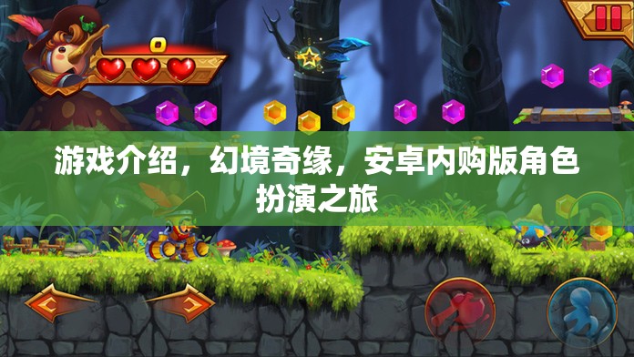 幻境奇緣，安卓內購版角色扮演的奇幻之旅