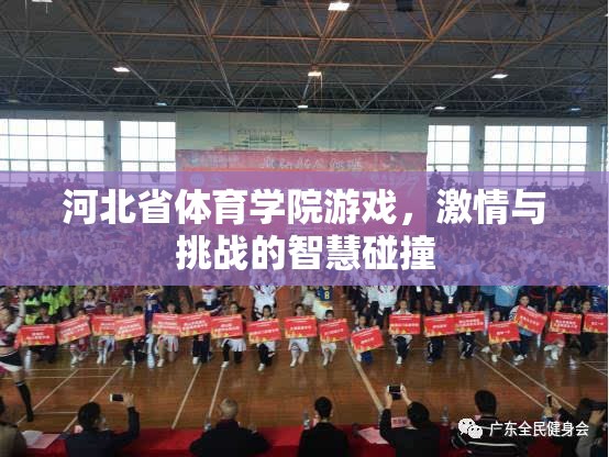 智慧與激情的碰撞，河北省體育學(xué)院游戲挑戰(zhàn)賽
