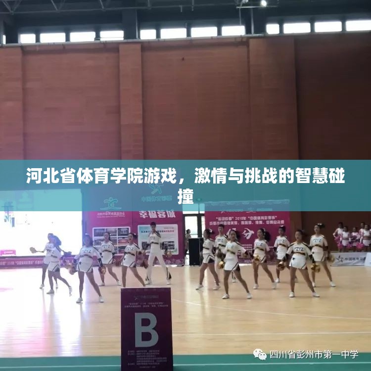智慧與激情的碰撞，河北省體育學(xué)院游戲挑戰(zhàn)賽