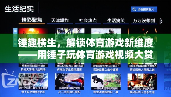 解鎖新維度，用錘子玩轉(zhuǎn)體育游戲視頻大賞