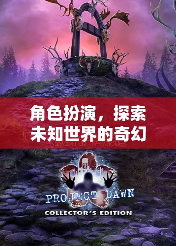 幻境奇緣，角色扮演的奇幻之旅