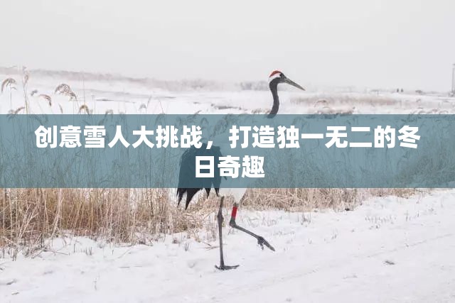 創(chuàng)意雪人大挑戰(zhàn)，打造冬日奇趣的獨(dú)特魅力