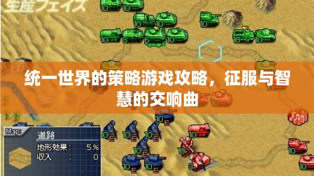 統(tǒng)一世界的策略游戲攻略，征服與智慧的交響曲