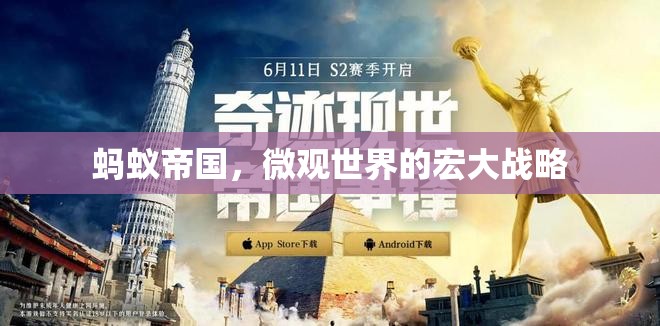 微觀世界的宏大戰(zhàn)略，螞蟻帝國的啟示