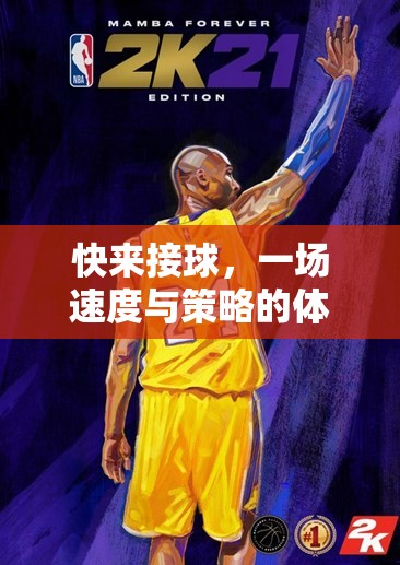 速度與策略的碰撞，一場令人熱血沸騰的接球體育游戲盛宴  第3張