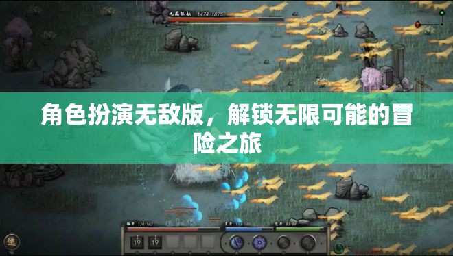 解鎖無限可能的冒險(xiǎn)之旅，角色扮演無敵版