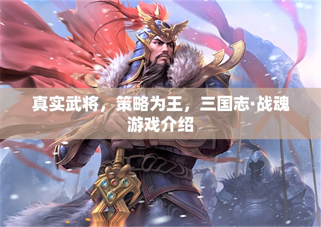 三國(guó)志·戰(zhàn)魂，真實(shí)武將，策略為王的熱血對(duì)決