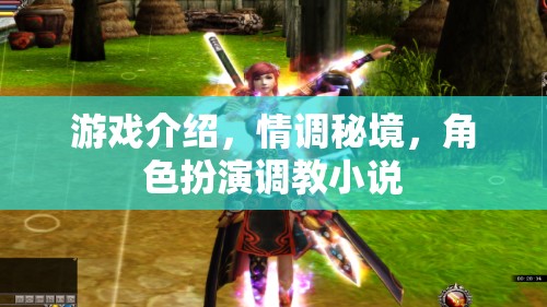 情調(diào)秘境，角色扮演調(diào)教小說的游戲之旅