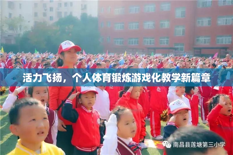活力飛揚(yáng)，個(gè)人體育鍛煉游戲化教學(xué)新篇章  第2張