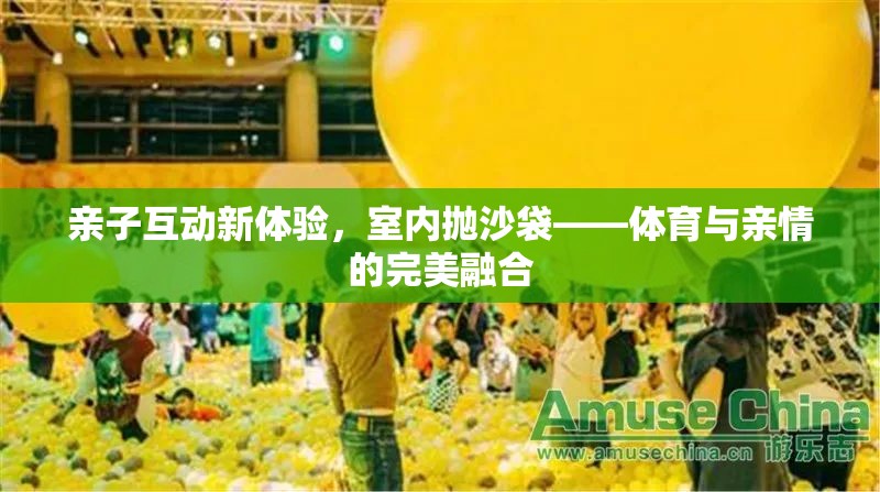 室內(nèi)拋沙袋，親子互動(dòng)新體驗(yàn)，體育與親情的完美融合