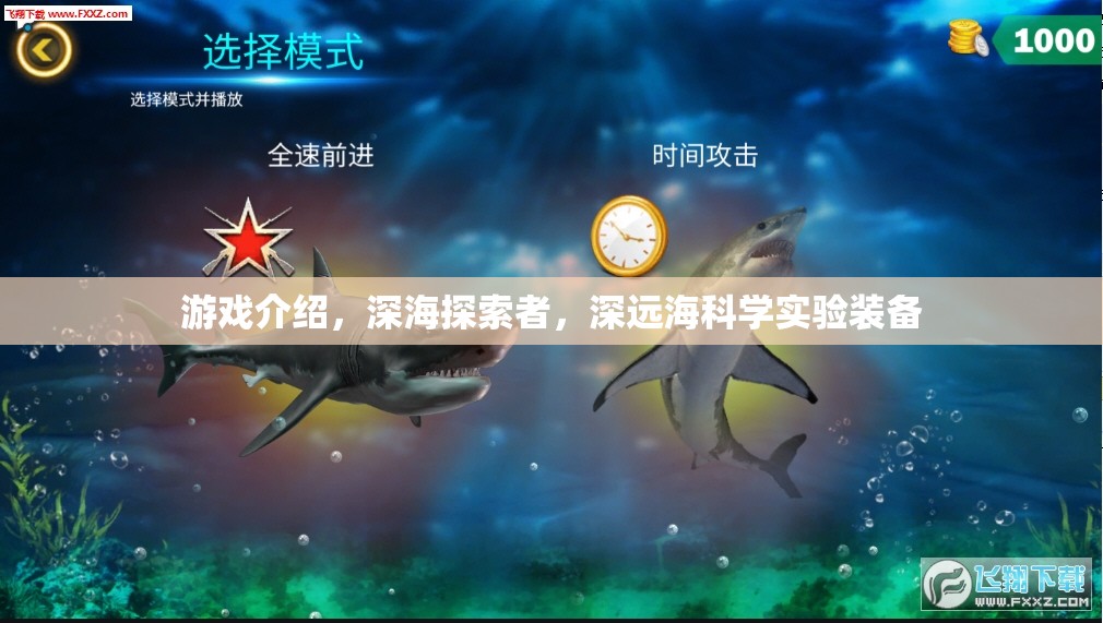 深海探索者，揭秘深遠海科學實驗裝備的奧秘
