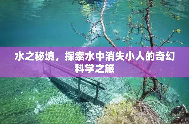 探索水之秘境，揭秘水中消失小人的奇幻科學之旅