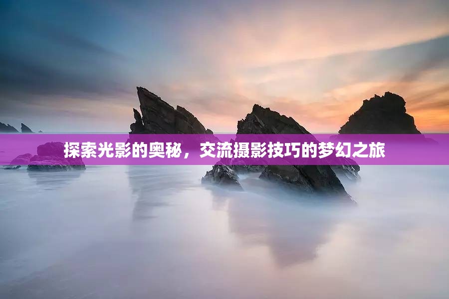 光影探索，一場攝影技巧交流的夢幻之旅