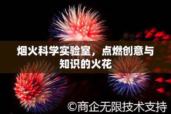 煙火科學(xué)實(shí)驗(yàn)室，點(diǎn)燃創(chuàng)意與知識(shí)的火花