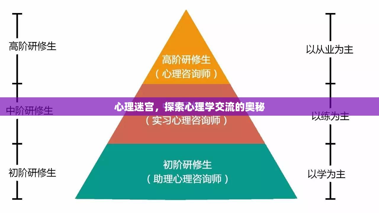 心理迷宮，解鎖心理學(xué)交流的奧秘