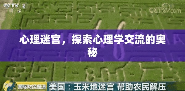 心理迷宮，解鎖心理學(xué)交流的奧秘  第2張