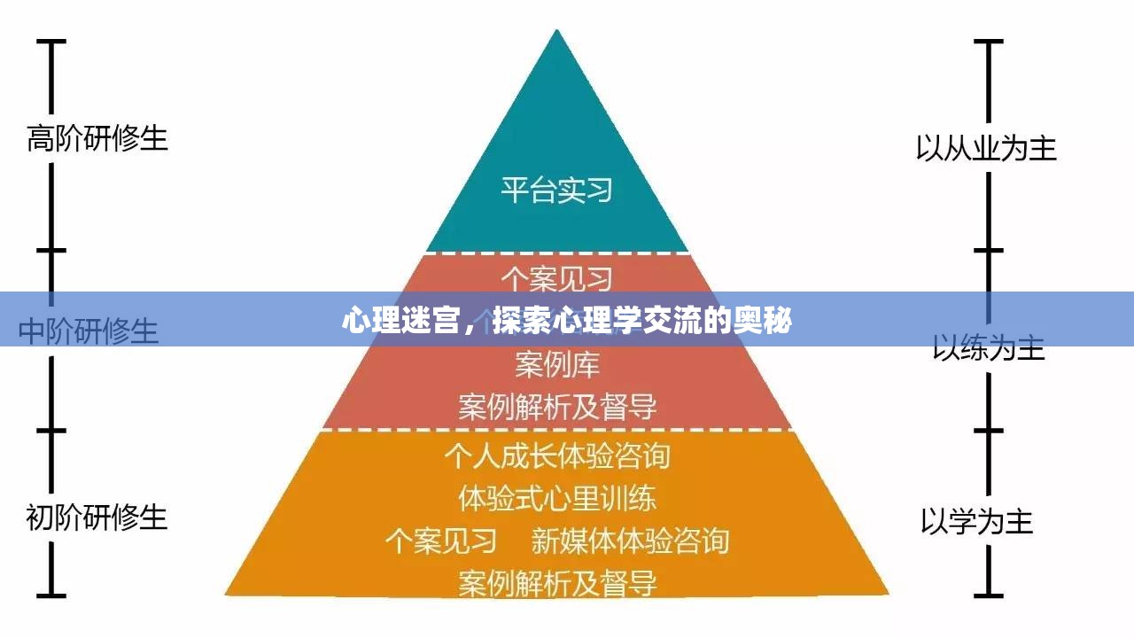 心理迷宮，解鎖心理學(xué)交流的奧秘  第3張
