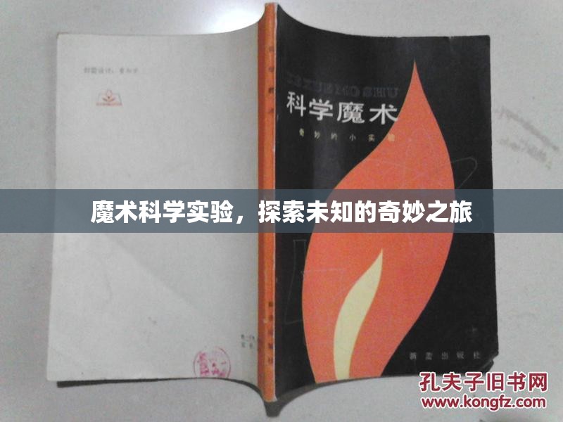 探索未知的奇妙之旅，魔術(shù)與科學(xué)的完美融合