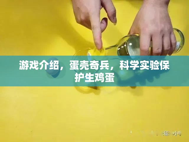 蛋殼奇兵，科學(xué)實(shí)驗(yàn)中的生雞蛋守護(hù)者