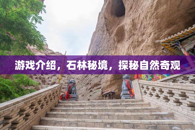 石林秘境，探秘自然奇觀之旅