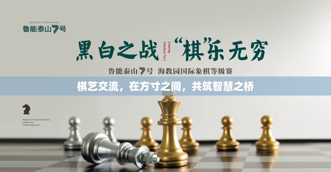 方寸之間，共筑智慧之橋，棋藝交流的魅力  第2張