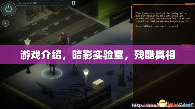 揭秘暗影實(shí)驗(yàn)室，殘酷真相下的游戲世界