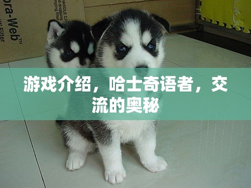 哈士奇語者，解鎖游戲交流的奧秘