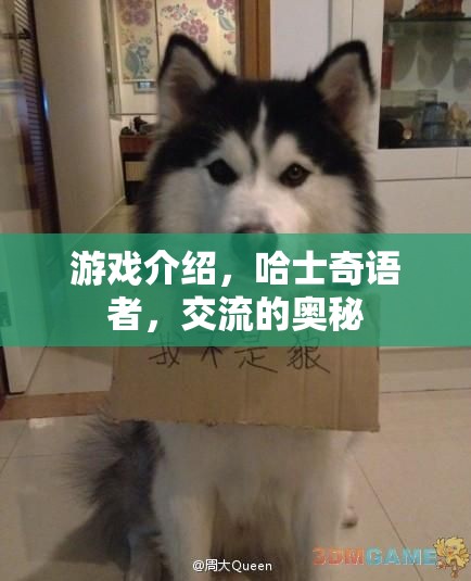 哈士奇語(yǔ)者，解鎖游戲交流的奧秘