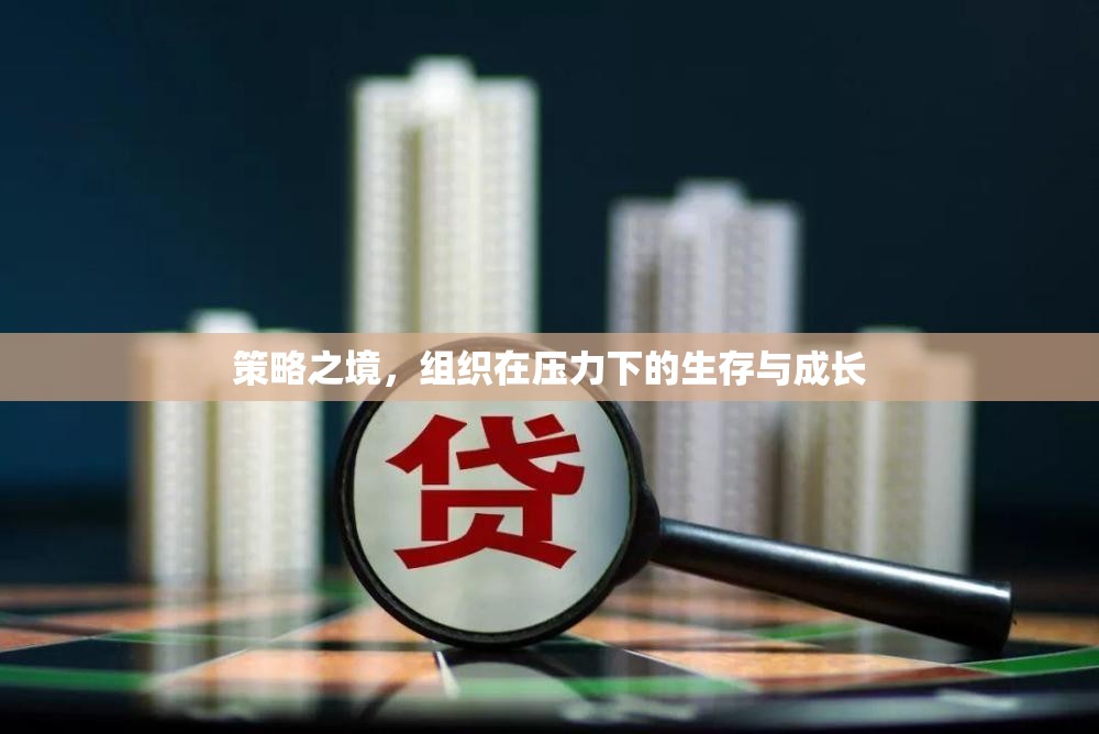 策略之境，組織在壓力下的生存與成長(zhǎng)  第2張