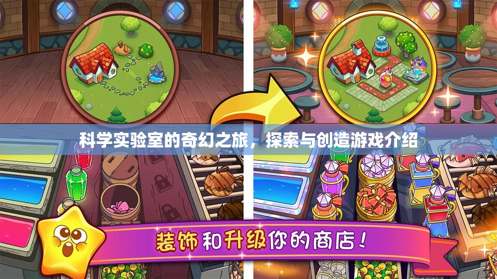 科學實驗室的奇幻探索，一場融合科學與創(chuàng)造的游戲之旅