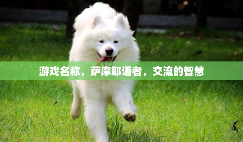 薩摩耶語(yǔ)者，解鎖交流的智慧